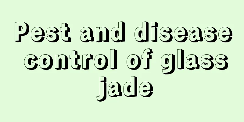 Pest and disease control of glass jade