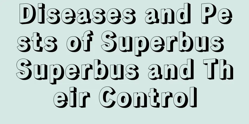 Diseases and Pests of Superbus Superbus and Their Control