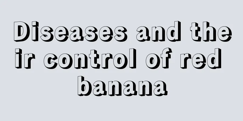 Diseases and their control of red banana