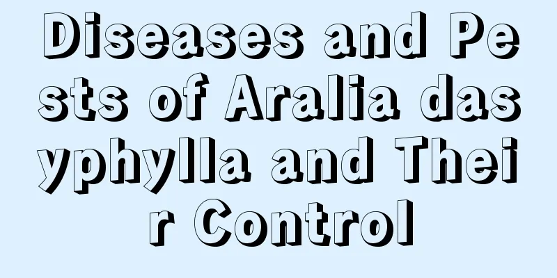 Diseases and Pests of Aralia dasyphylla and Their Control