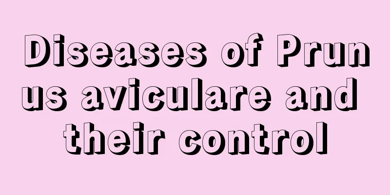 Diseases of Prunus aviculare and their control