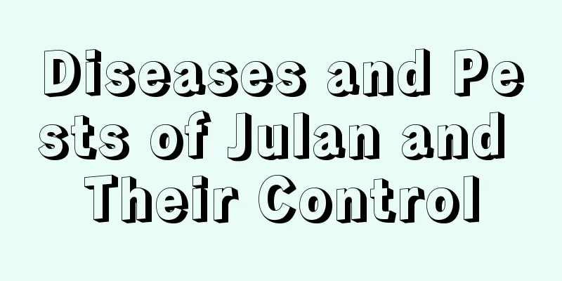 Diseases and Pests of Julan and Their Control