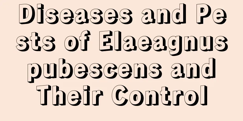 Diseases and Pests of Elaeagnus pubescens and Their Control