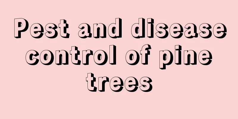 Pest and disease control of pine trees