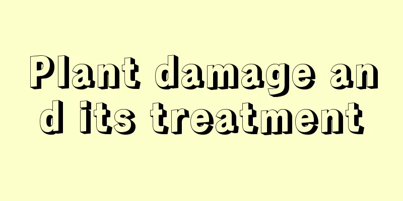 Plant damage and its treatment