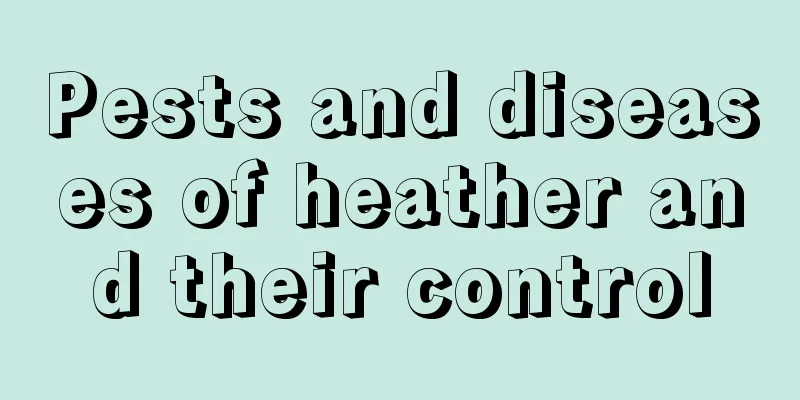 Pests and diseases of heather and their control