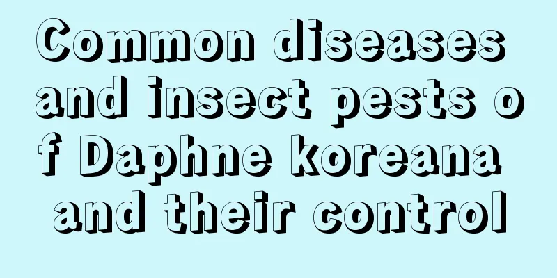 Common diseases and insect pests of Daphne koreana and their control