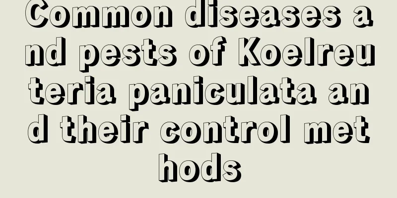 Common diseases and pests of Koelreuteria paniculata and their control methods