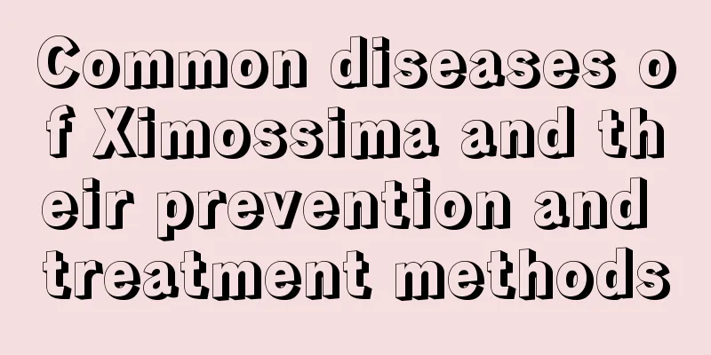 Common diseases of Ximossima and their prevention and treatment methods