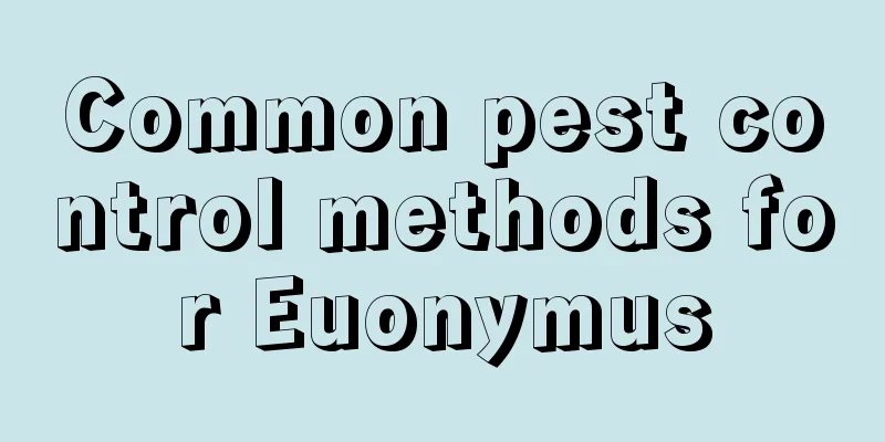 Common pest control methods for Euonymus