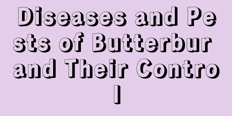 Diseases and Pests of Butterbur and Their Control