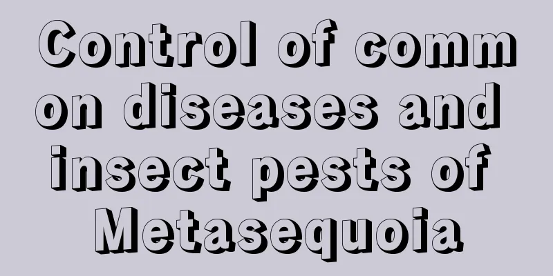 Control of common diseases and insect pests of Metasequoia