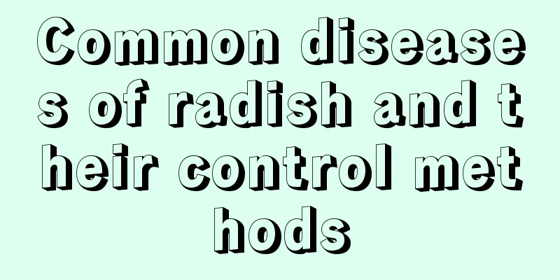 Common diseases of radish and their control methods