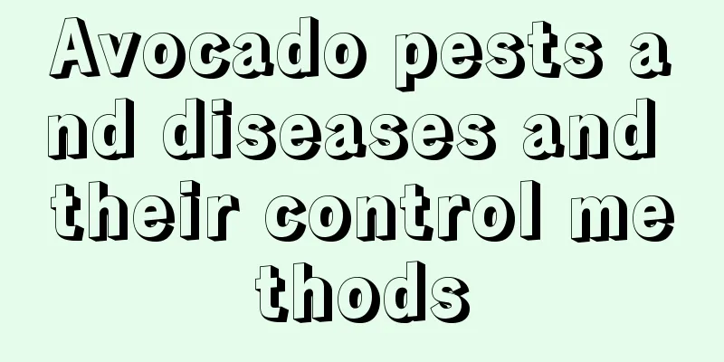 Avocado pests and diseases and their control methods