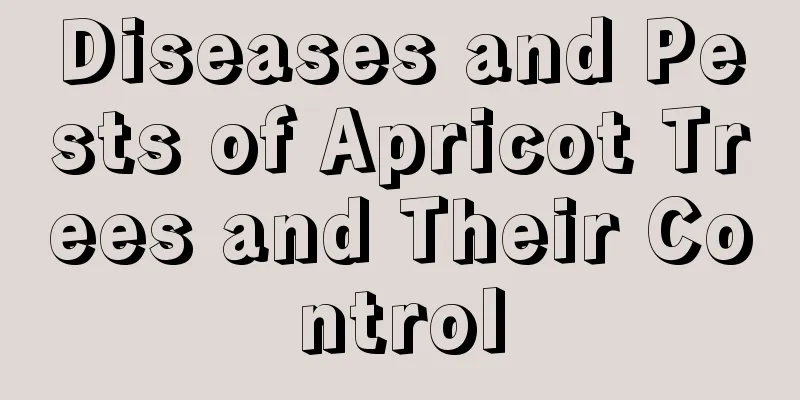 Diseases and Pests of Apricot Trees and Their Control