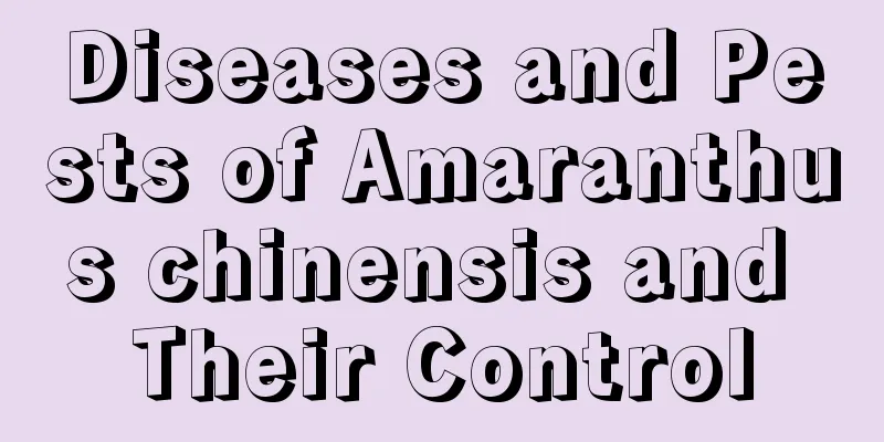 Diseases and Pests of Amaranthus chinensis and Their Control