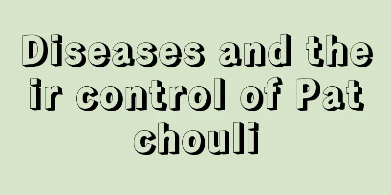 Diseases and their control of Patchouli