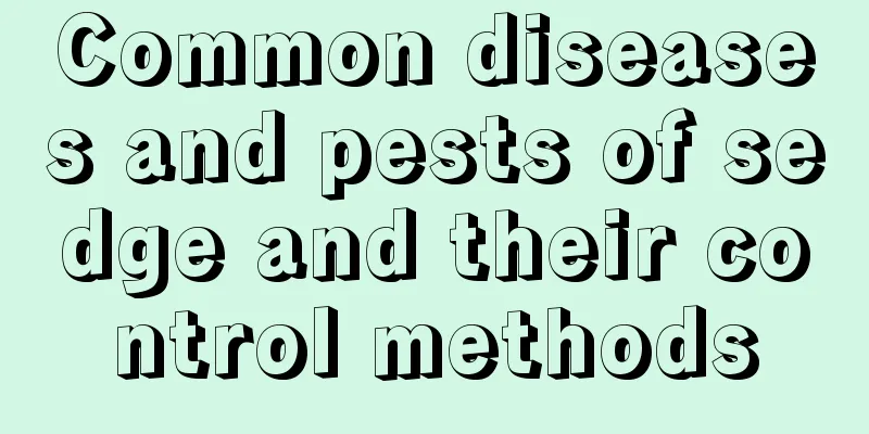 Common diseases and pests of sedge and their control methods