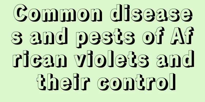 Common diseases and pests of African violets and their control