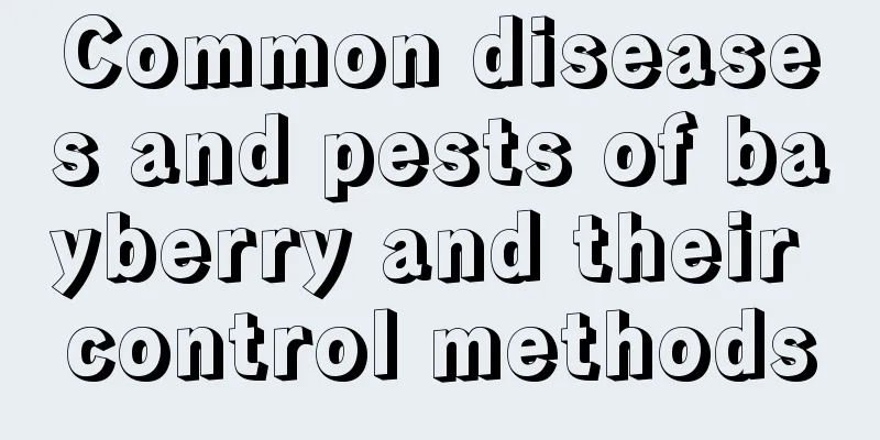 Common diseases and pests of bayberry and their control methods