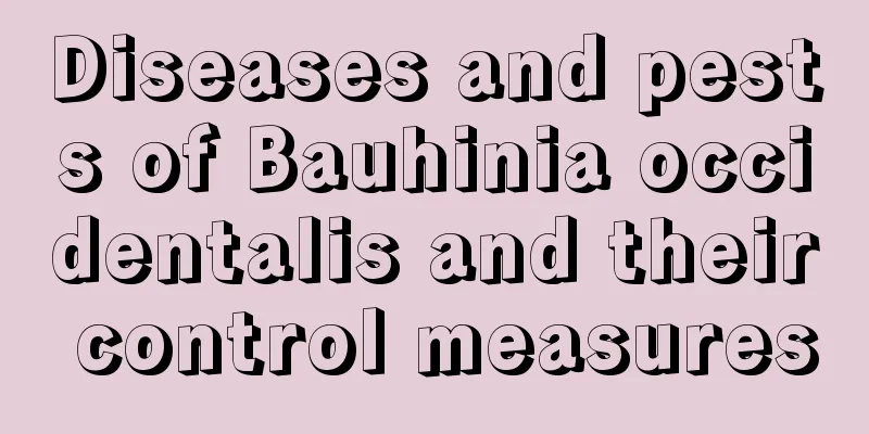 Diseases and pests of Bauhinia occidentalis and their control measures