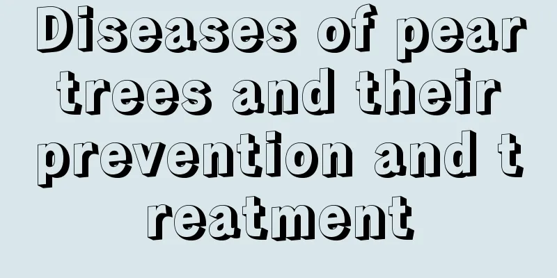 Diseases of pear trees and their prevention and treatment