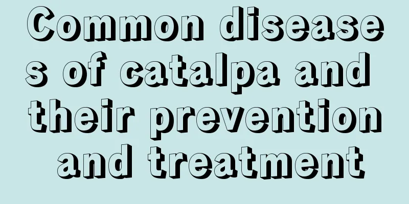 Common diseases of catalpa and their prevention and treatment