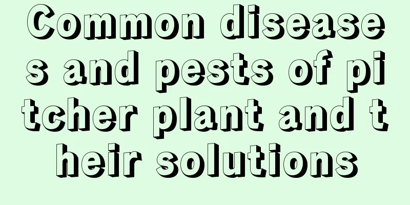 Common diseases and pests of pitcher plant and their solutions