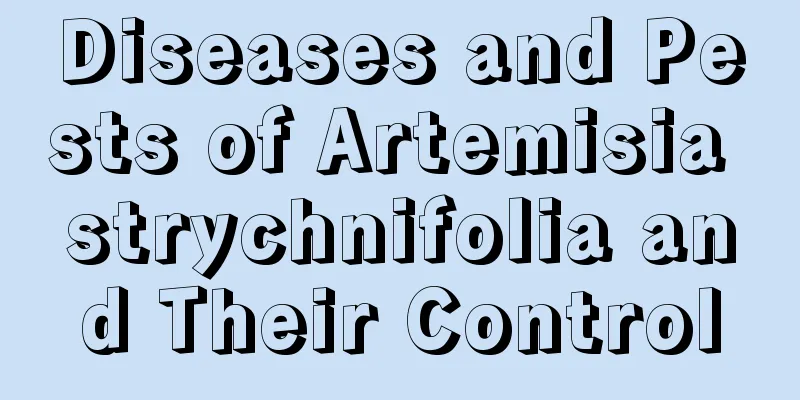 Diseases and Pests of Artemisia strychnifolia and Their Control