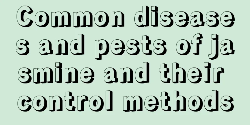 Common diseases and pests of jasmine and their control methods