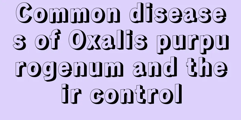 Common diseases of Oxalis purpurogenum and their control