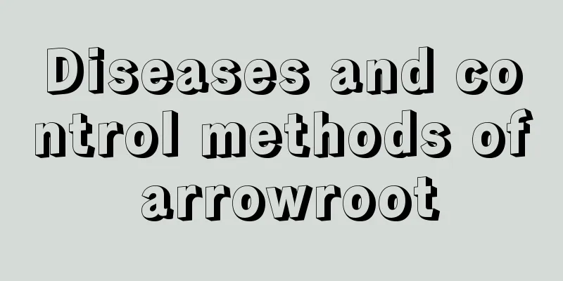 Diseases and control methods of arrowroot