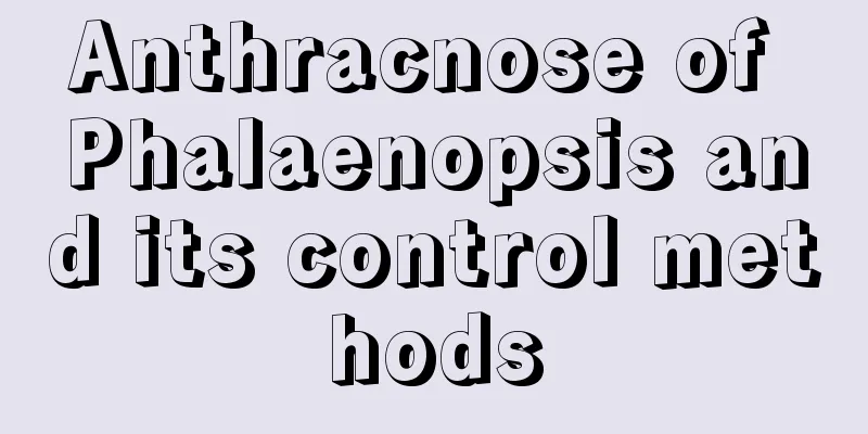 Anthracnose of Phalaenopsis and its control methods