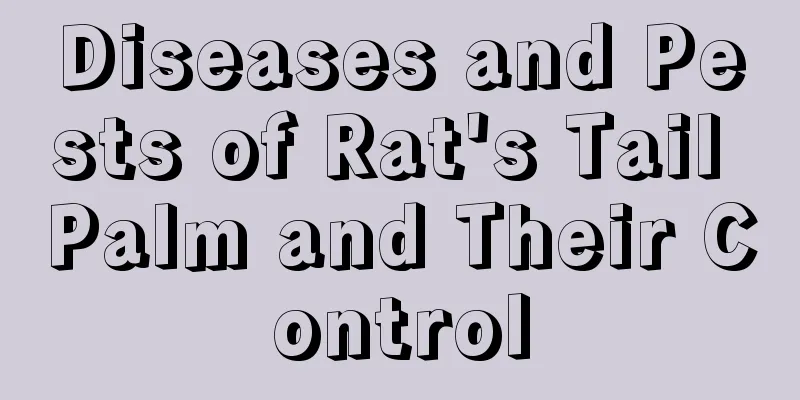 Diseases and Pests of Rat's Tail Palm and Their Control