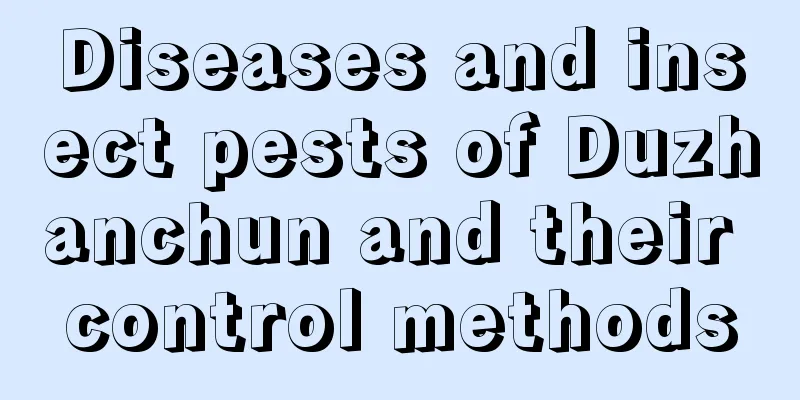 Diseases and insect pests of Duzhanchun and their control methods