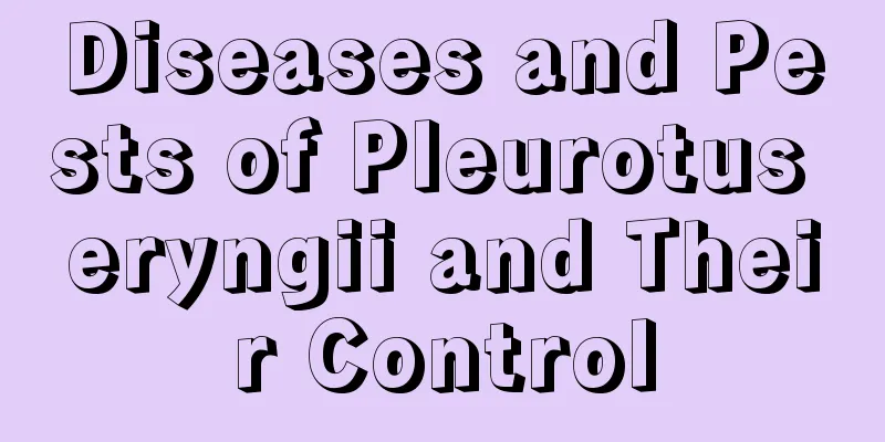 Diseases and Pests of Pleurotus eryngii and Their Control