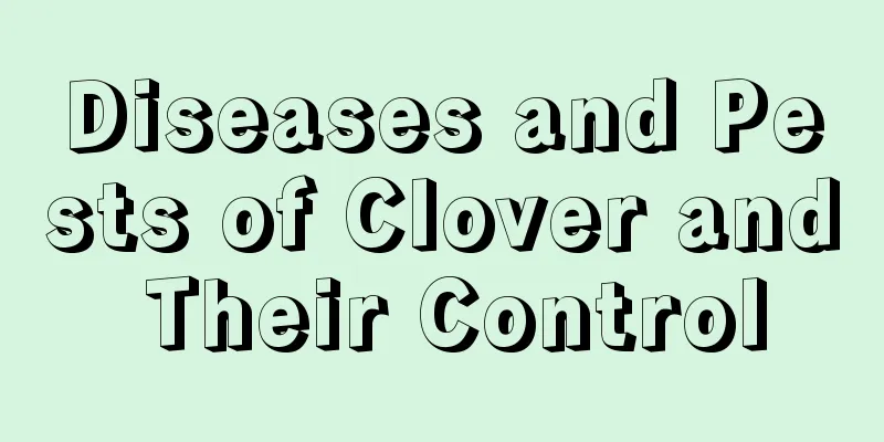 Diseases and Pests of Clover and Their Control