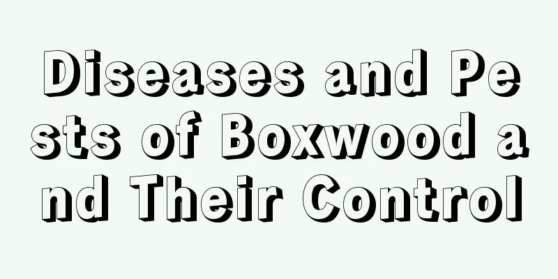 Diseases and Pests of Boxwood and Their Control