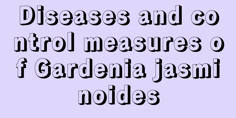 Diseases and control measures of Gardenia jasminoides