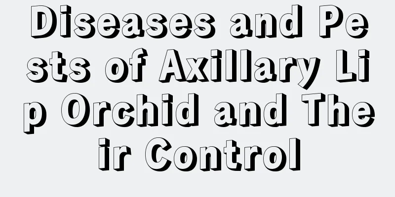 Diseases and Pests of Axillary Lip Orchid and Their Control