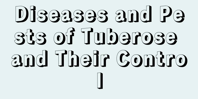 Diseases and Pests of Tuberose and Their Control