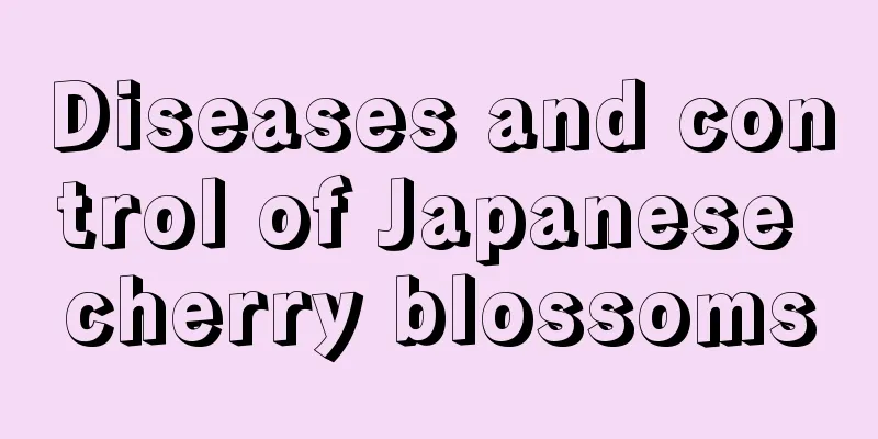 Diseases and control of Japanese cherry blossoms