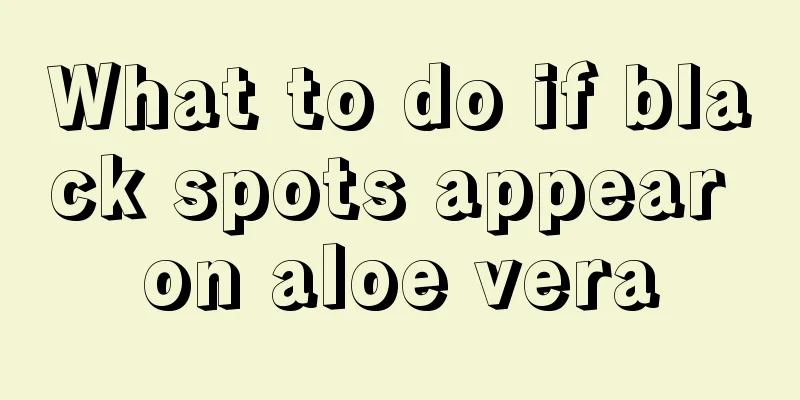 What to do if black spots appear on aloe vera