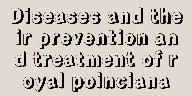 Diseases and their prevention and treatment of royal poinciana