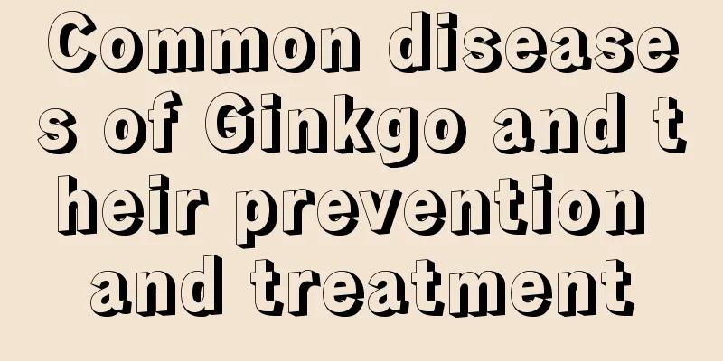 Common diseases of Ginkgo and their prevention and treatment