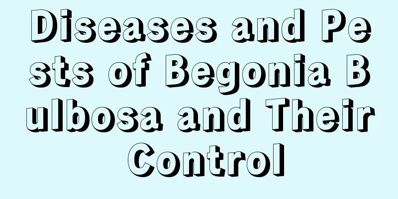 Diseases and Pests of Begonia Bulbosa and Their Control