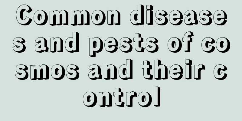 Common diseases and pests of cosmos and their control