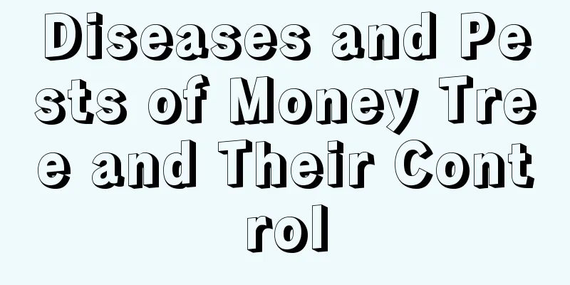 Diseases and Pests of Money Tree and Their Control