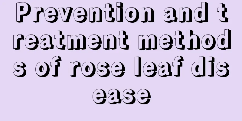 Prevention and treatment methods of rose leaf disease