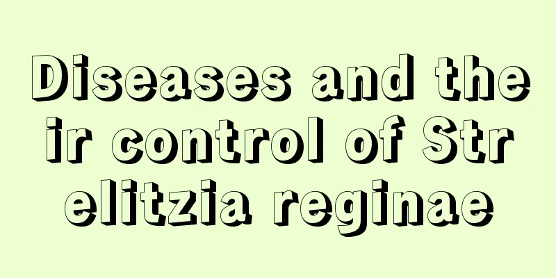 Diseases and their control of Strelitzia reginae